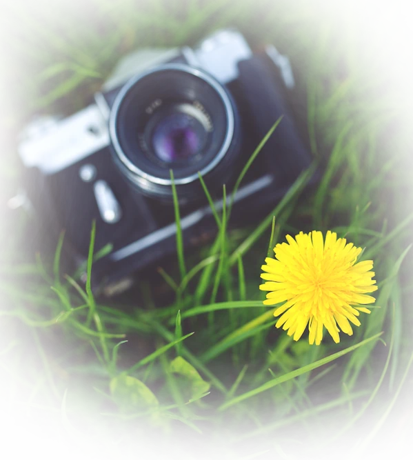 Kamera in Pause – Symbolbild